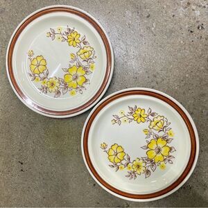 Set of 2 Vintage Stoneware Dinner Plates